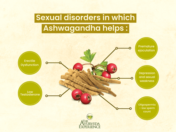 Ashwagandha for Sexual Strength The Ayurveda Experience