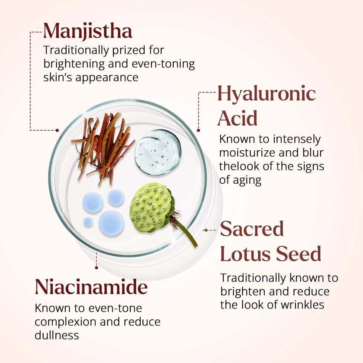 Rufolia Periorbital Eyemulsion - Brightening and Visibly Firming Eye Cream Eye Cream A Modernica Naturalis