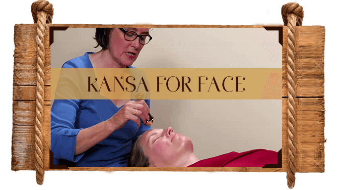 The Kansa Course - Platinum Educational Course Experience Ayurveda