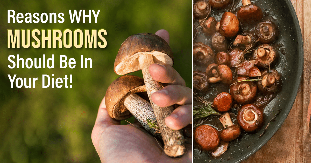 8 Reasons To Eat Mushrooms!