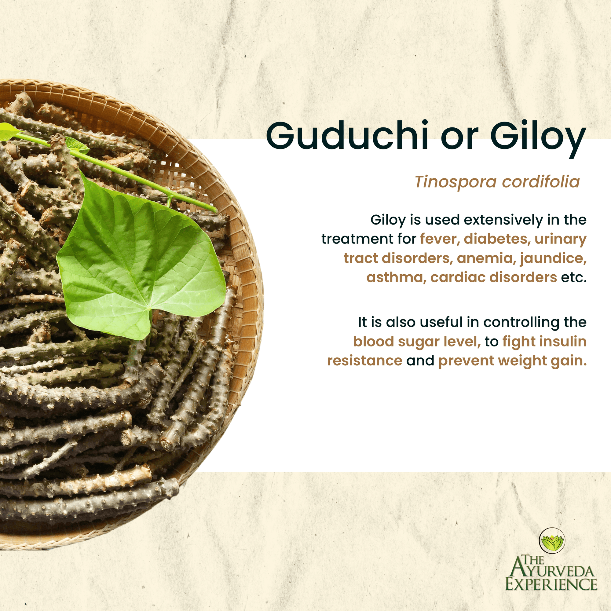 All About Guduchi