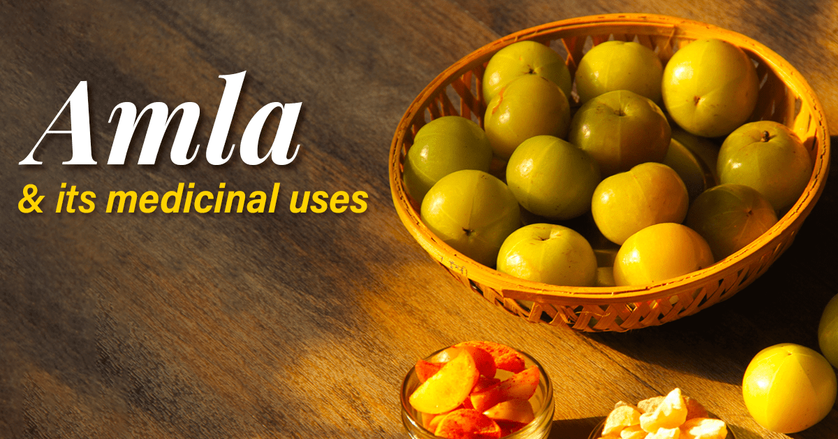 Amalaki: The Ancient Indian Fruit With Powerful Health Benefits