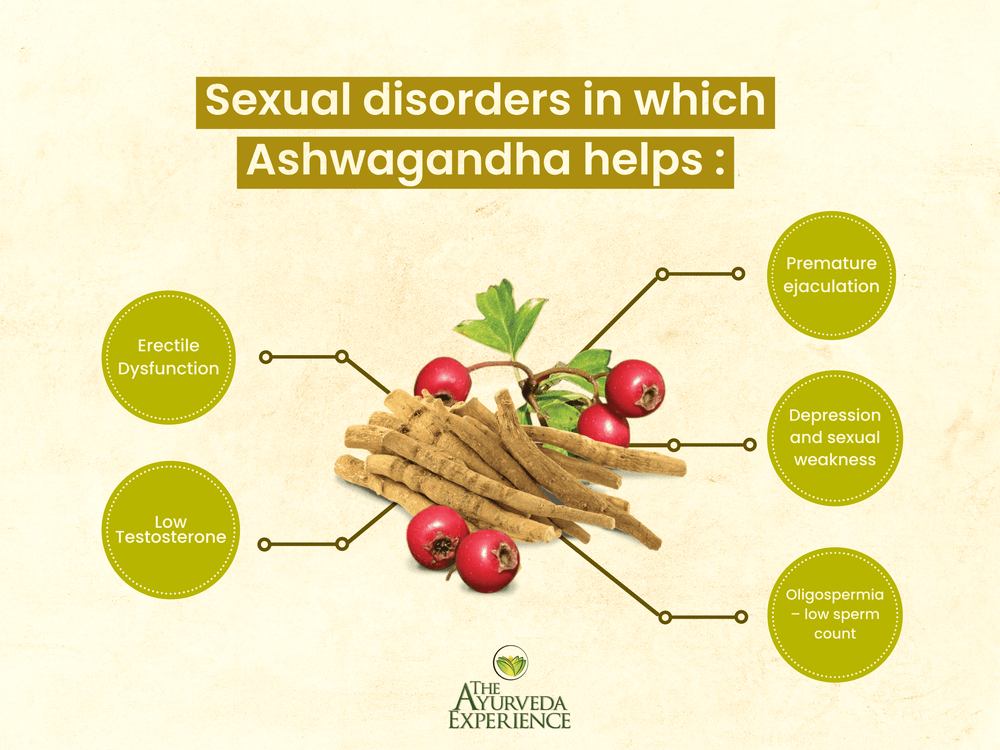 Ashwagandha For Sexual Strength The Ayurveda Experience 9399