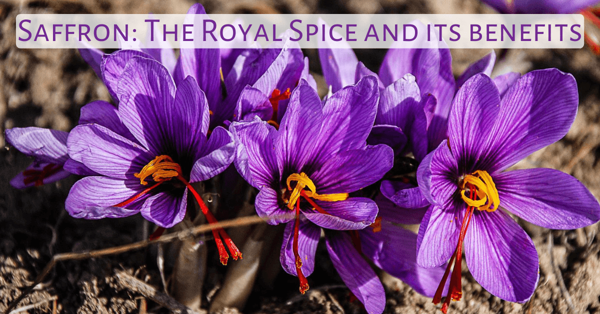 Ayurveda's Perspective on Saffron for Skin, Hair, and Body