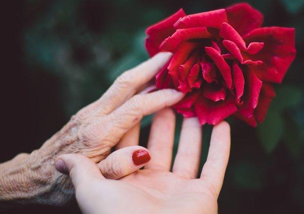 Celebrating Grandparents Everywhere This National Grandparents Day