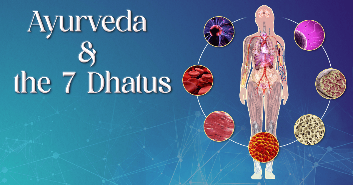 Dhatus: An Introduction To Ayurveda's 7 Tissue Layers