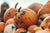 Discover the Many Health Benefits of Pumpkins