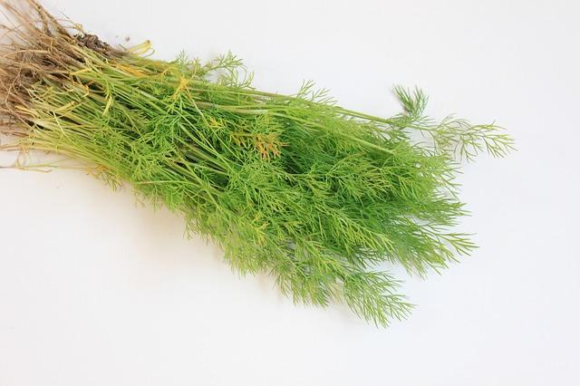 Gas & Bloating Home Remedy With Dill