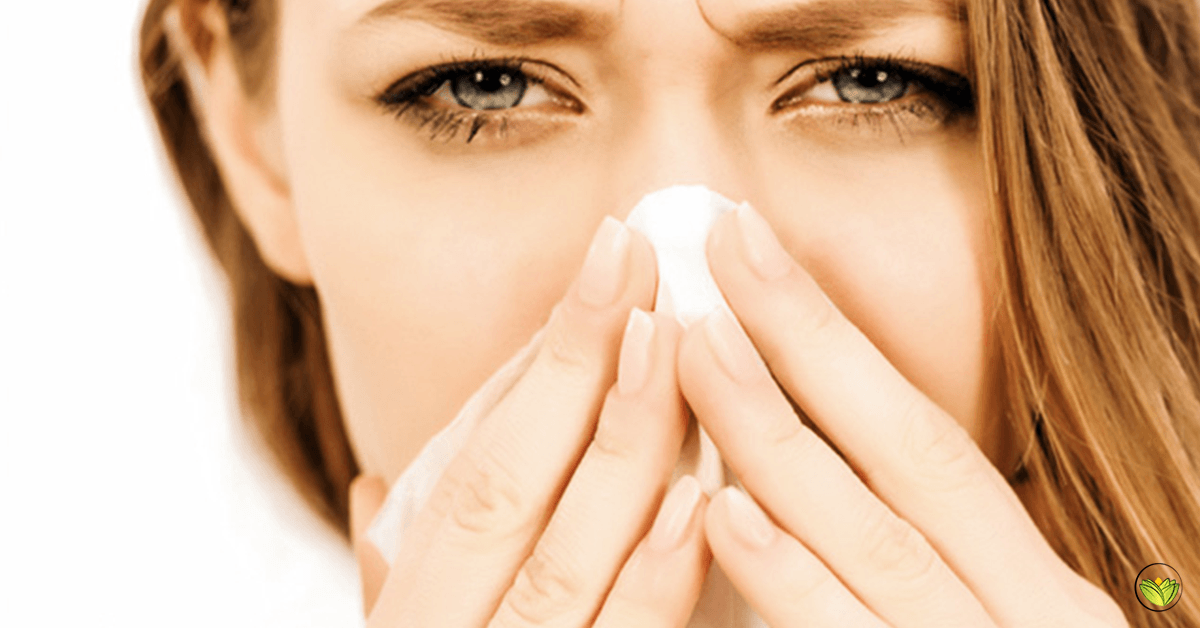 Herbal Ways of Fighting that Infuriating Sinusitis