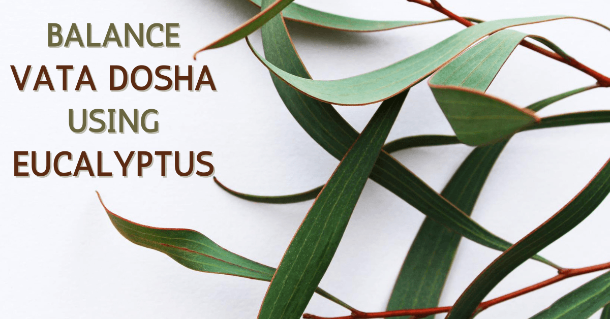 How Eucalyptus Is Useful For Skin, Hair, And Overall Health?