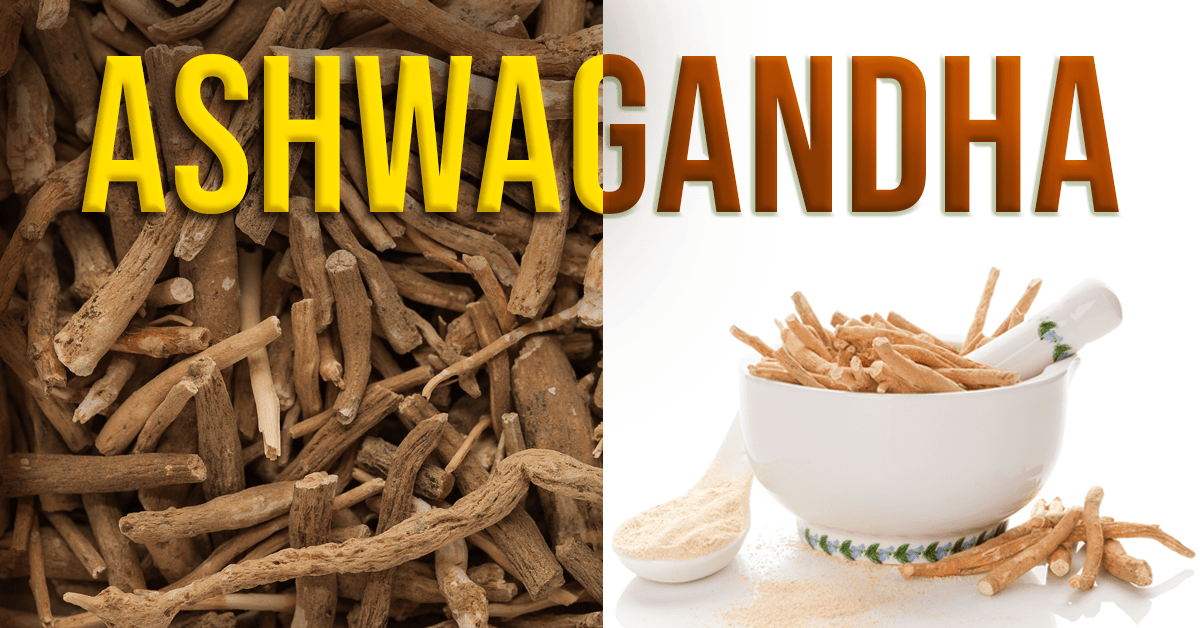 Know Everything About Ashwagandha: Benefits, Uses, Modern Relevance Of The Ancient Wonder Herb