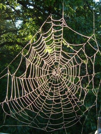 Learning Sacred Anatomy: Part 6—Dharma & Agni