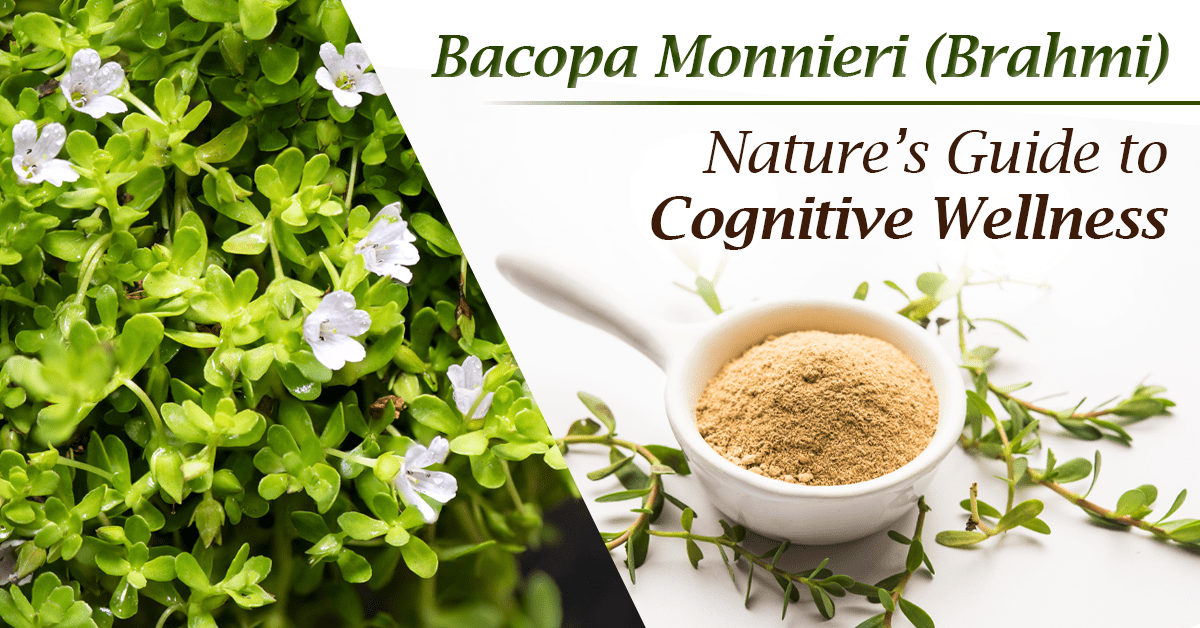 Master Your Mind With Brahmi: Nature's Brain Booster