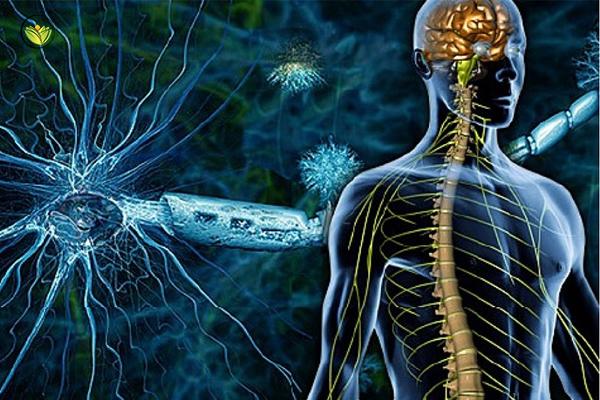 Multiple Sclerosis Symptoms, Treatment, Causes And Ayurvedic Treatment