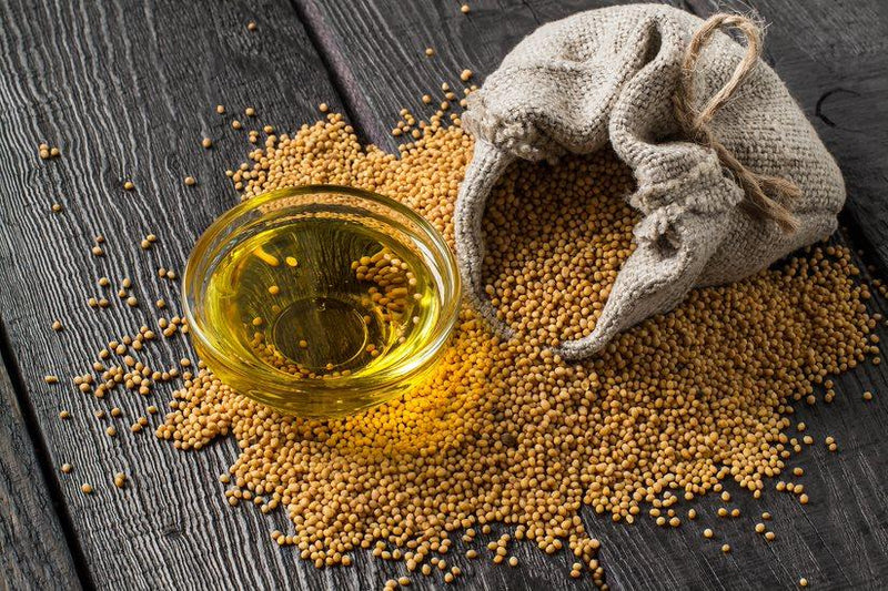 Mustard Oil Benefits + Uses in Ayurveda