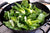 Quick and Easy Anti-Inflammatory Bok Choy Stir Fried in Coconut Oil