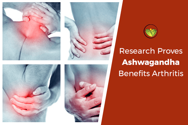 Research Proves Ashwagandha Highly Effective For Arthritis