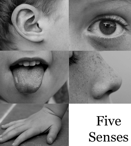 Sense Therapy: More than Meets the Eye