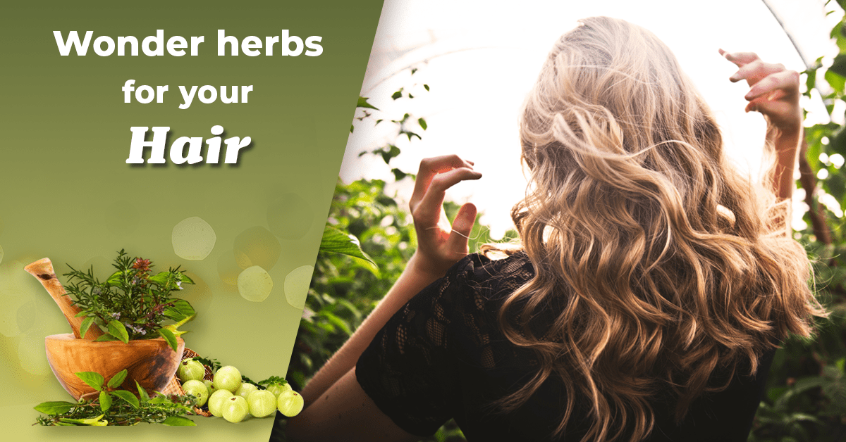Seven Ayurvedic Herbs For Strong And Healthy Hair