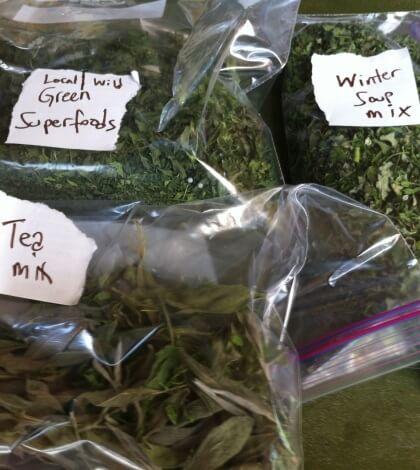 Summer Kitchen Sadhana with Your Dehydrator