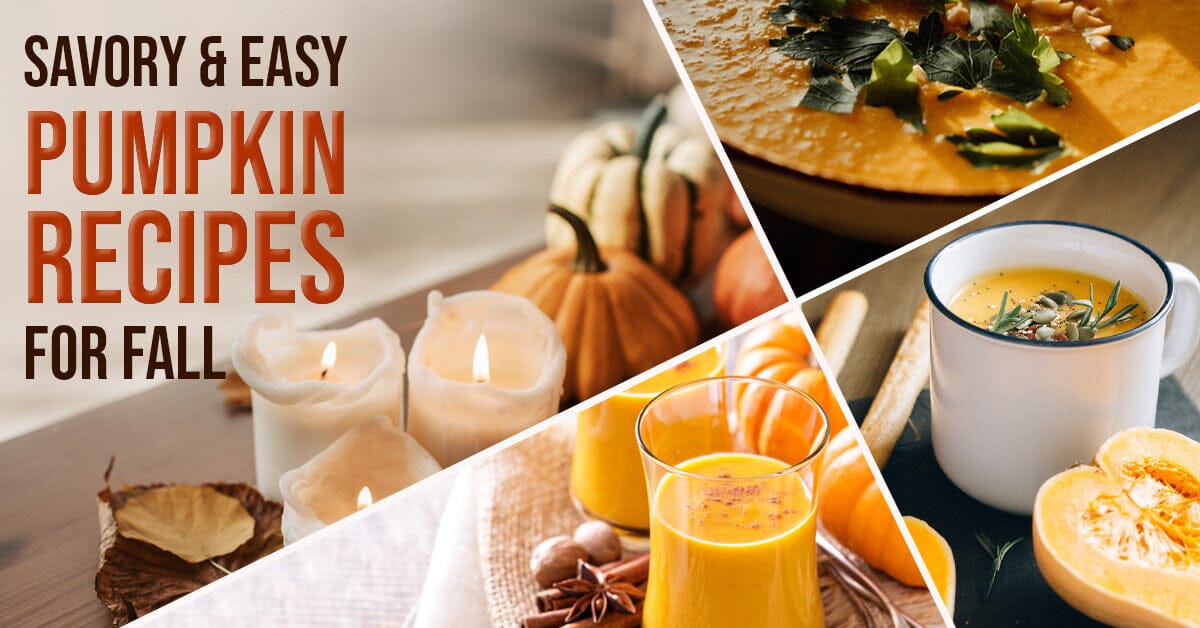 The Power Of Pumpkin: Health Benefits And Delicious Fall Recipes