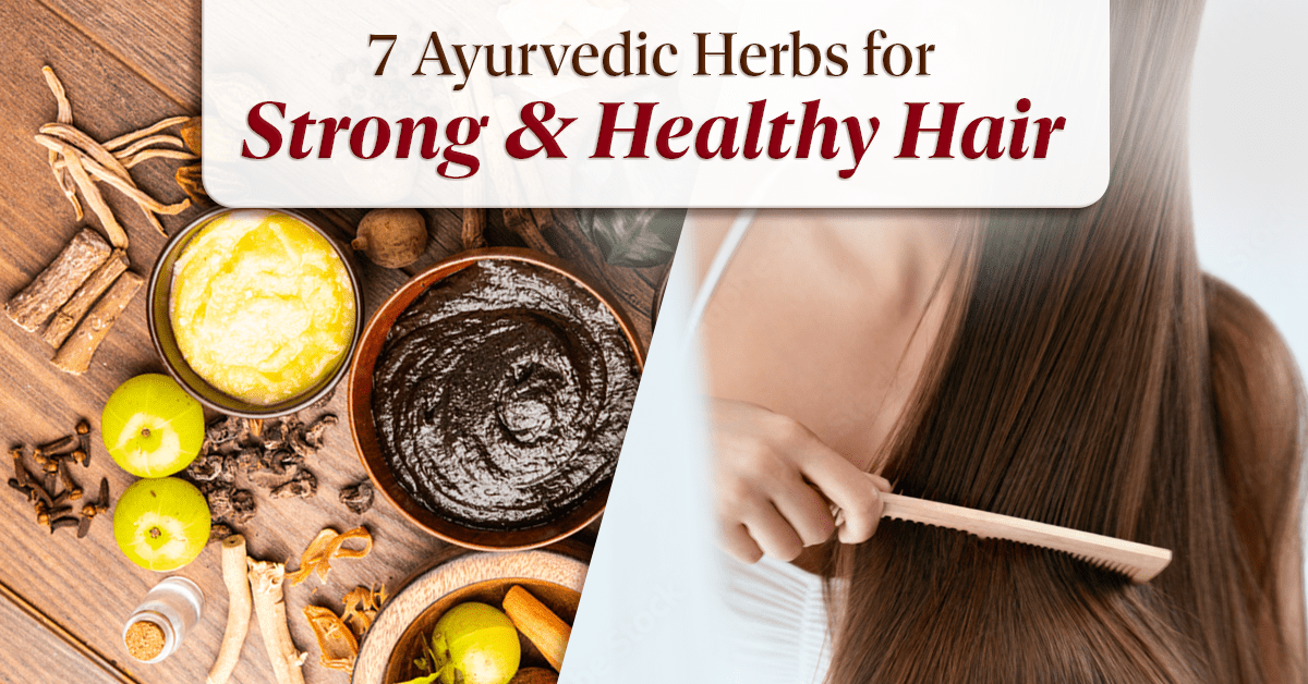 Top 7 Ayurvedic Herbs For Strong And Healthy Hair