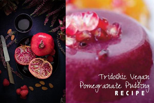 Tridoshic Vegan Pomegranate Pudding