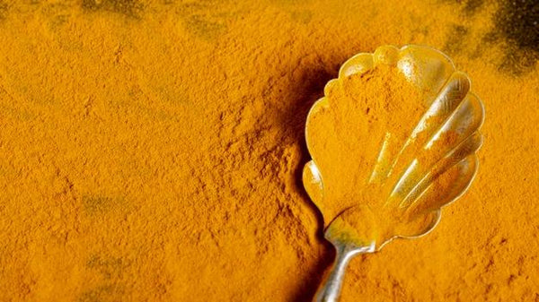 Turmeric: Gold In Your Kitchen