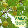 Amla Gummies I Vegan Gummies with 100% plant-based actives for anti-aging, healthy skin, digestion and immunity Supplements Ayuttva 