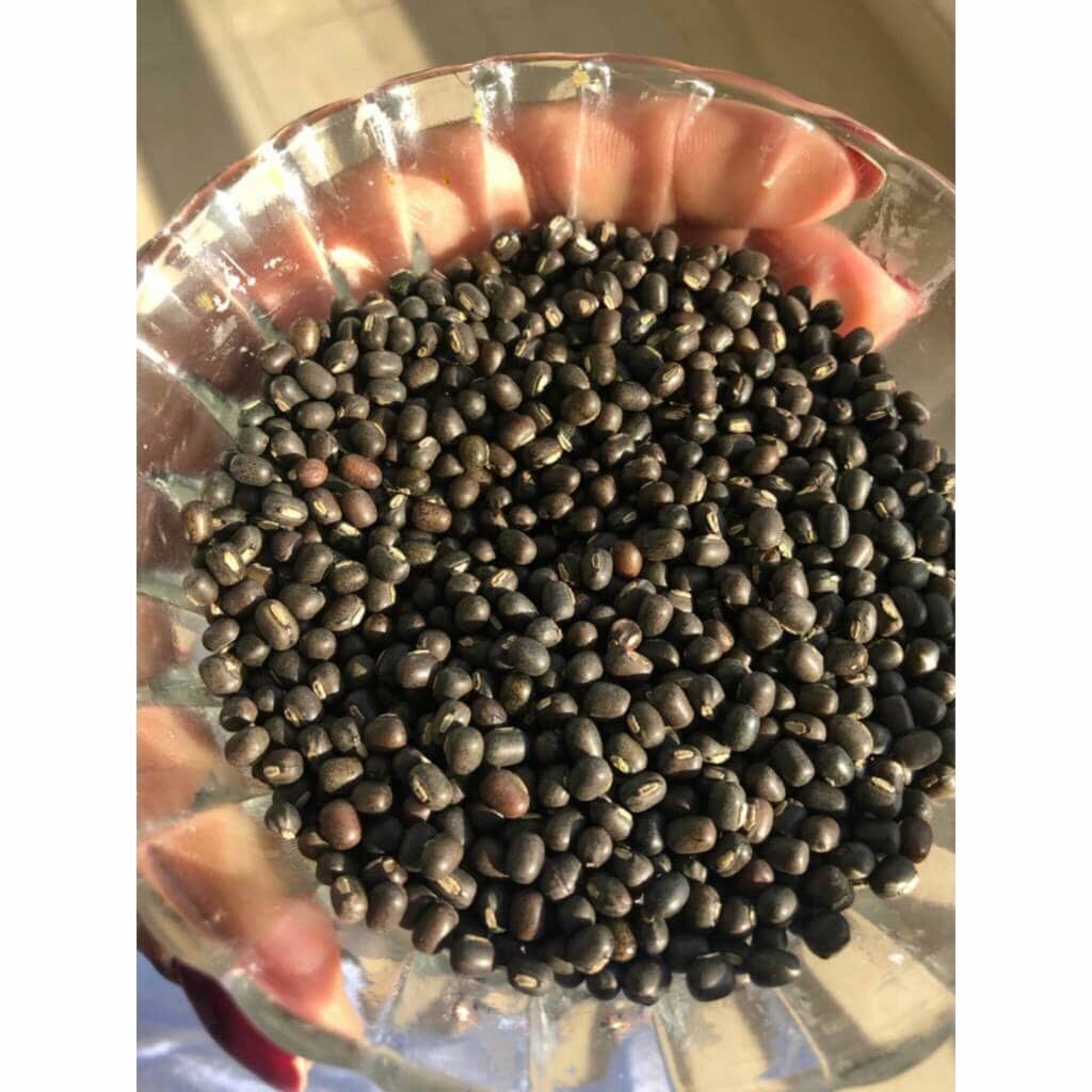 Balaayah Black Gram Body Booster: Body Massage Oil for Dry, Aging Skin - In 5 Indulging Aromas! Body Oil iYURA 