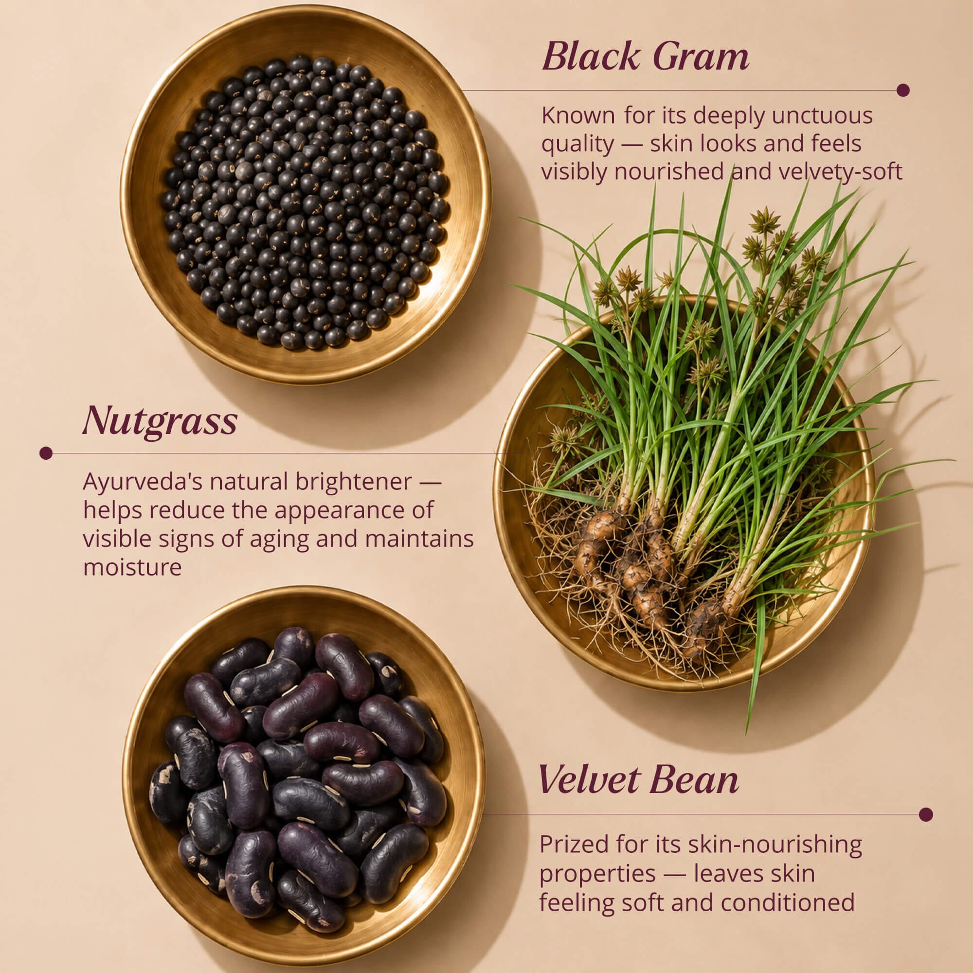 Balaayah Black Gram Body Booster Body Oil iYURA 