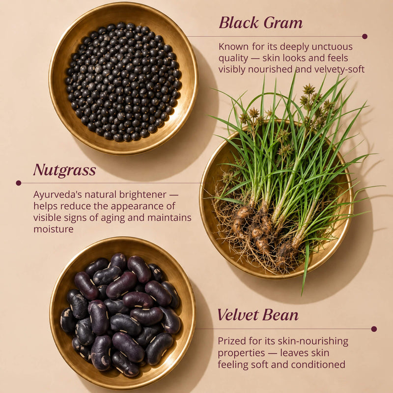 Balaayah Black Gram Body Booster Body Oil iYURA 