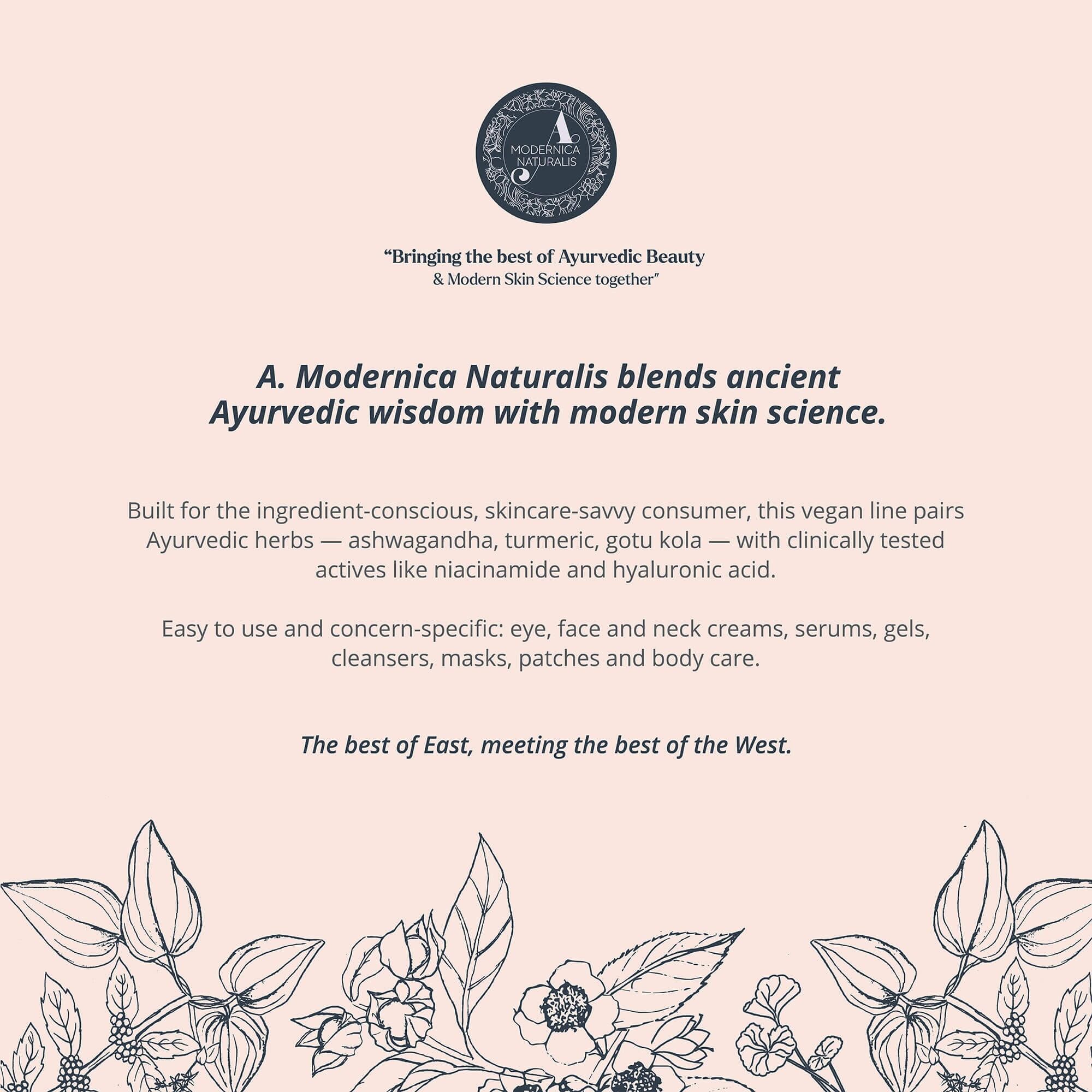 Cerabuild Face and Neck Cream - Restore and Protect Your Skin's Lost Moisture with Phyto-Ceramides Lotion & Moisturizer A. Modernica Naturalis 