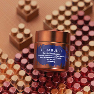 Cerabuild Face and Neck Cream - Restore and Protect Your Skin's Lost Moisture with Phyto-Ceramides - With highest saving options Lotion & Moisturizer A Modernica Naturalis 