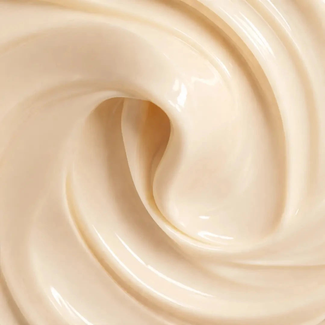 Cerabuild Face and Neck Cream - With Phyto-Ceramides - Restores Skin's Gone Moisture and Protects Skin's Barrier Lotion & Moisturizer A. Modernica Naturalis 