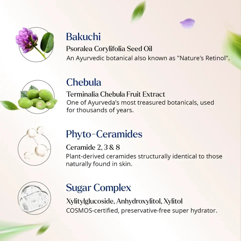 Cerabuild Face and Neck Cream - With Phyto-Ceramides - Restores Skin's Gone Moisture and Protects Skin's Barrier Lotion & Moisturizer A. Modernica Naturalis 