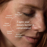 Cerabuild Face and Neck Cream - With Phyto-Ceramides - Restores Skin's Gone Moisture and Protects Skin's Barrier Lotion & Moisturizer A. Modernica Naturalis 