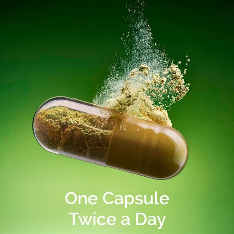 Clensicap - Detox Supplement for Improved Strength, Stamina, Sleep and Digestion - Pack of - Get FREE Clensicap Pack of 2 Supplements Ayuttva 