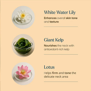 Firm-Focus Neck Mask - Lifts, Firms, Smooths the look of Loose, Saggy Skin on the Neck, Jaw, Chin & Upper Chest - Focused Neck Firming Action with Phyto-Ceramides and Water Lily - Best Firming Neck Mask Neck Mask A Modernica Naturalis 
