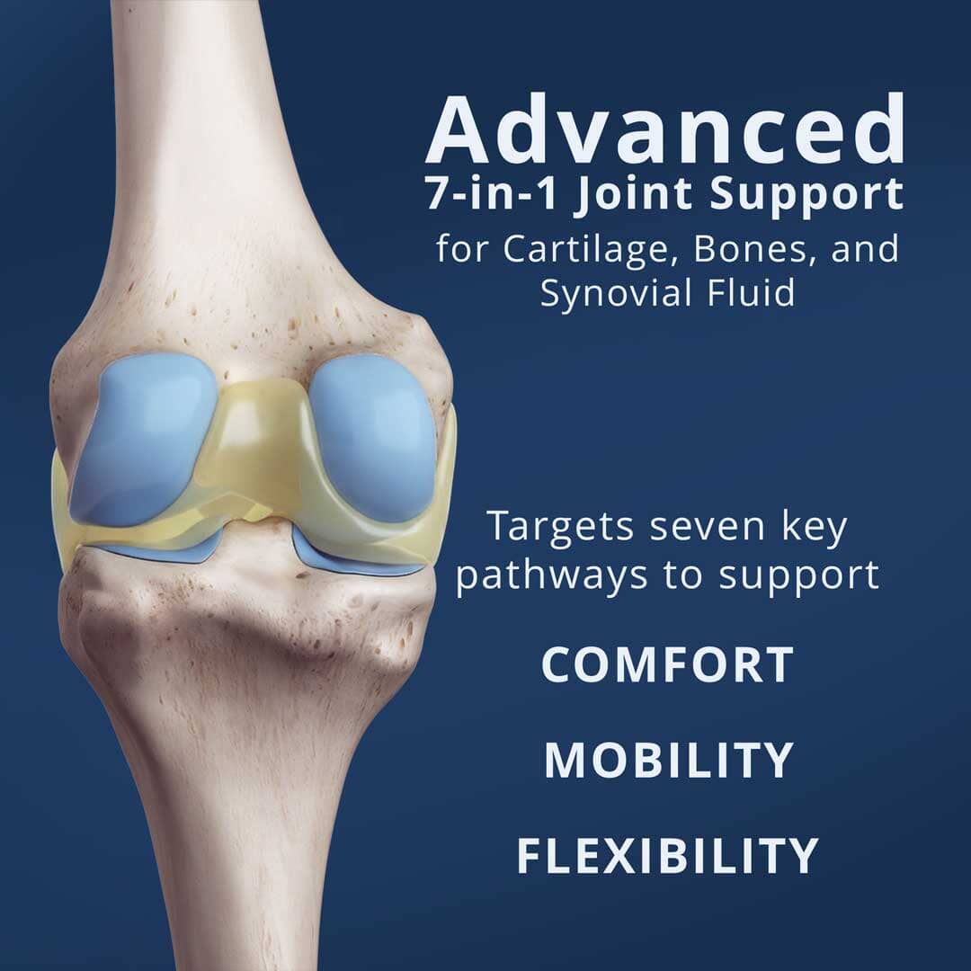 Flex & Fine – Joint Supplement for Cartilage, Bone, and Synovial Fluid Support | Vegan, Scientifically Tested Ayuttva 