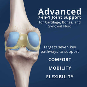 Flex & Fine – Joint Supplement for Cartilage, Bone, and Synovial Fluid Support | Vegan, Scientifically Tested Ayuttva 