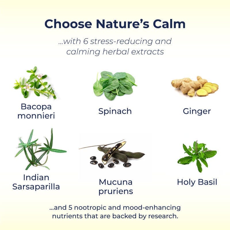 FREE GIFT: BacoBliss I With 10+ powerful ingredients for Calm, Relaxation and Occasional Stress Relief singleton_gift Ayuttva 