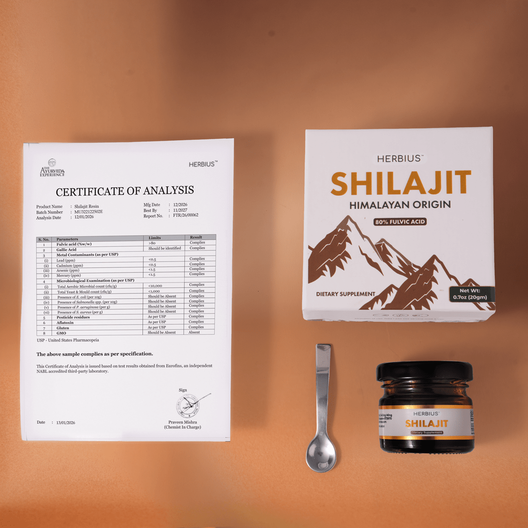 Herbius™ Shilajit | 100% Pure Himalayan Resin For Natural Energy, Hormonal Balance & Menopause Support - 20g Supplements Ayuttva 