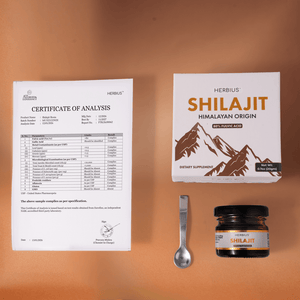 Herbius™ Shilajit | 100% Pure Himalayan Resin For Natural Energy, Hormonal Balance & Menopause Support - 20g Supplements Ayuttva 