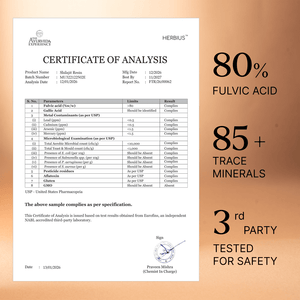 Herbius™ Shilajit | 100% Pure Himalayan Resin For Natural Energy, Hormonal Balance & Menopause Support - 20g Supplements Ayuttva 