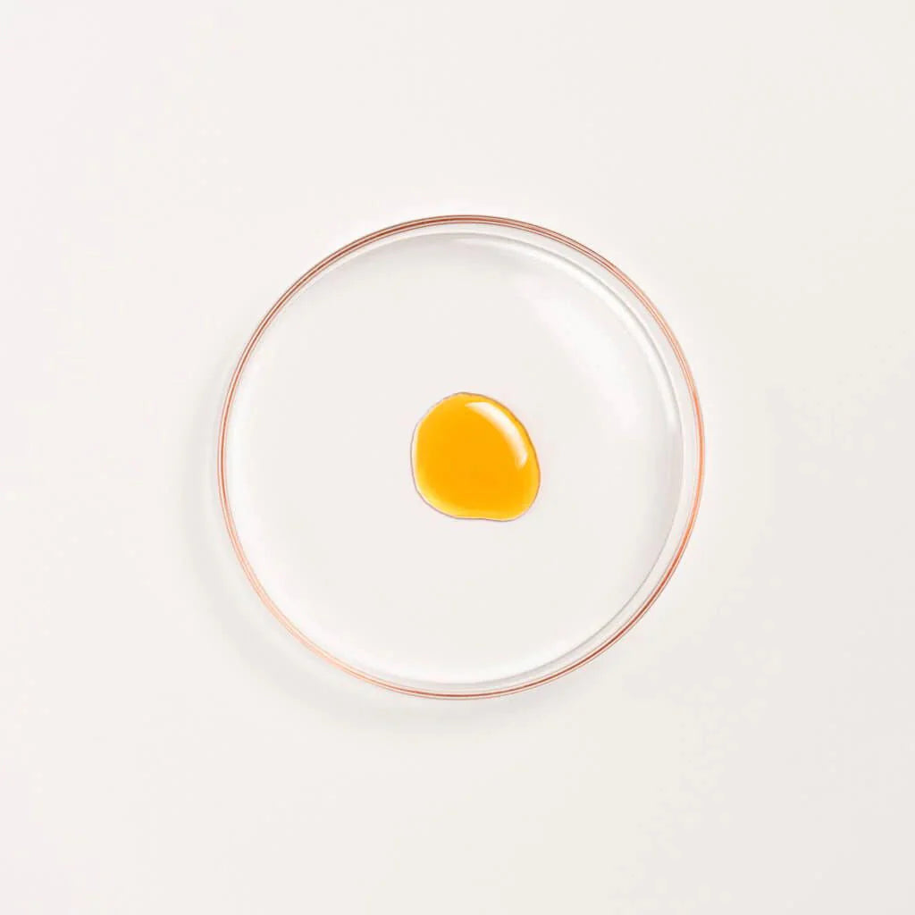 Manjish Glow Elixir - Ayurvedic Face Oil for Even-Toned Skin Night-time face oil iYURA 