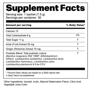 Probiotic Mix - 3-in-1 Smart Synbiotic Formula with Probiotic + Prebiotic + Ayurvedic Herbs Ayuttva 