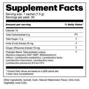 Probiotic Mix - 3-in-1 Smart Synbiotic Formula with Probiotic + Prebiotic + Ayurvedic Herbs - Pack of 3 Ayuttva 