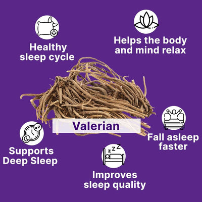 Sleep Gummies with KSM 66 Ashwagandha and Valerian Root for Blissful Sleep | Tasty Blueberry Flavor Supplements Ayuttva