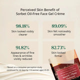 Smooth-Sorbet: Oil-Free Face Gel Crème - For Mature, Dull and Aging Skin - Matte Cloud-Like Glow Instantly Lotion & Moisturizer A. Modernica Naturalis 